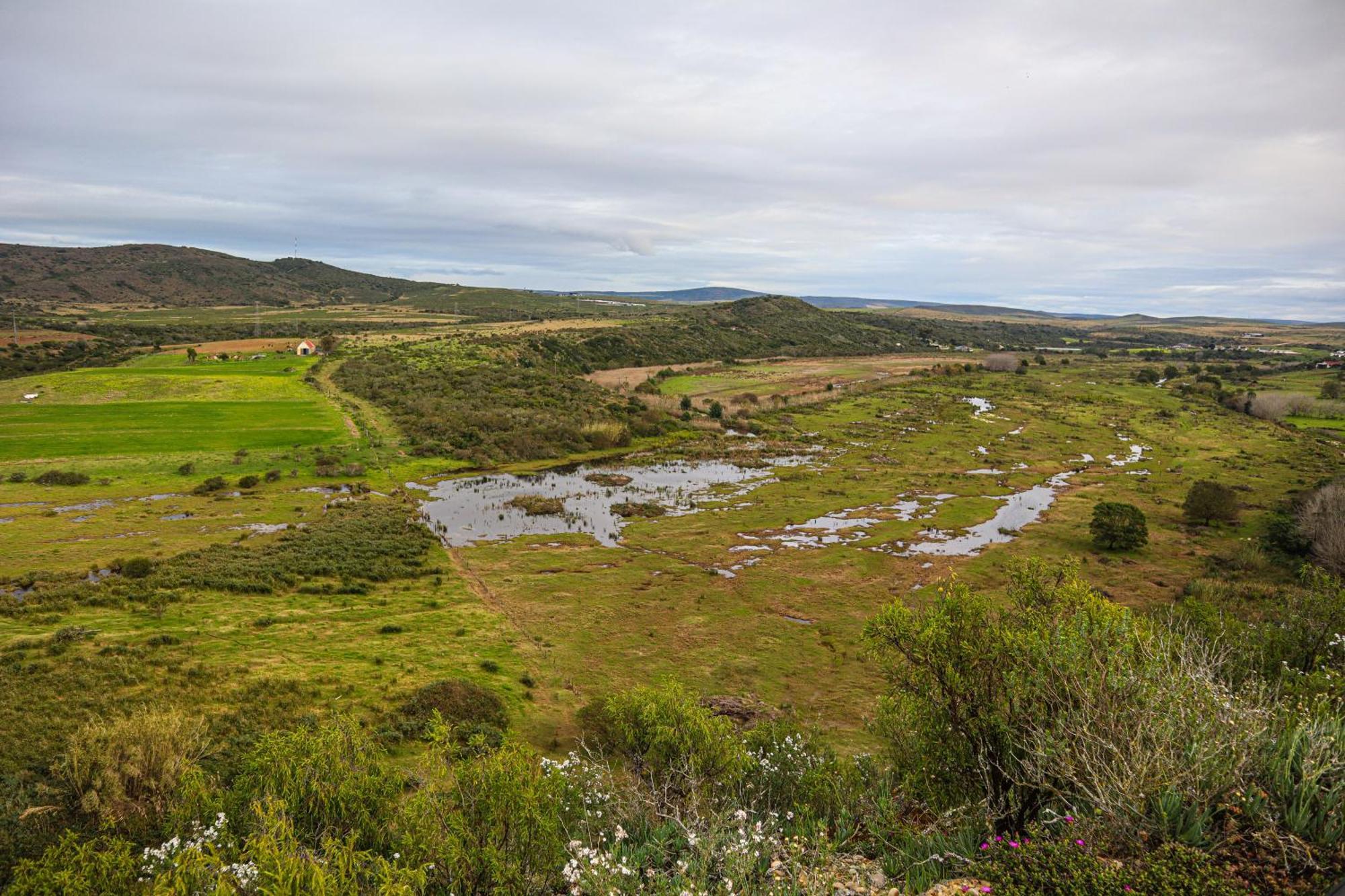 Outeniquabosch Lodge Hartenbos Extérieur photo